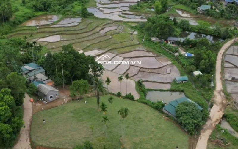 CẦN BÁN LÔ ĐẤT NGHỈ DƯỠNG 1961M VIEW CÁNH ĐỒNG GIÁ ĐẦU TƯ